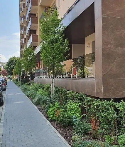 Alios Lux Apartman Brassó